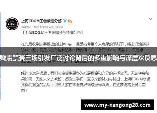 魏震禁赛三场引发广泛讨论背后的多重影响与深层次反思