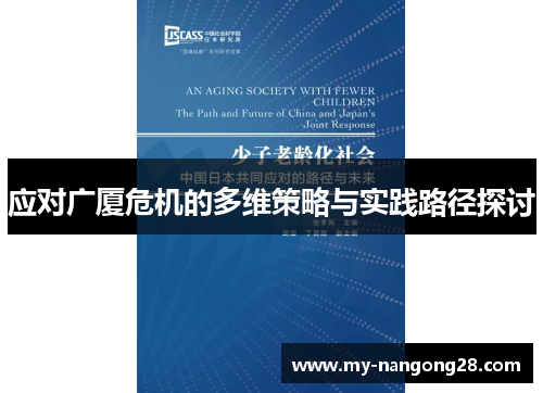 应对广厦危机的多维策略与实践路径探讨