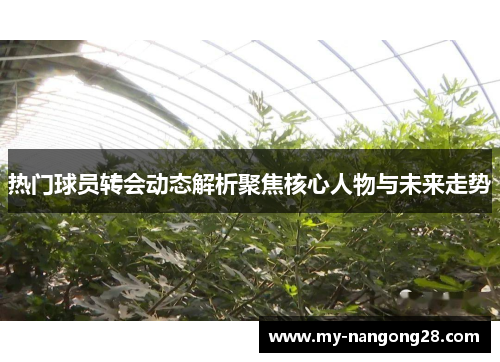 热门球员转会动态解析聚焦核心人物与未来走势